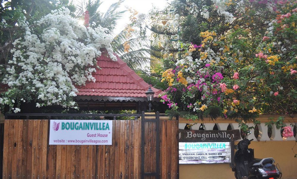 Bougainvillea Guest House Candolim Ngoại thất bức ảnh